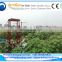 Combine harvester / hemp harvester / flax fiber decorticator