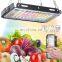 New design Led module grow light 50w full spectrum For Indoor Hydroponics Plants