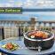 Electric grill for indoor and out door