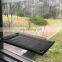 Cat Window Resting Seat, Suction Cups Space Saving Cat, Pet Resting Seat Safety Cat Shelves