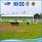 China Made Cheap Long Life Prefabricated Steel Shed Horse Stable House