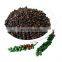 Dried pepper kernel from Vietnam