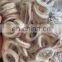 frozen todarodes giant illex squid ring wholesale price skin on