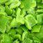 Frozen green pepper