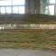 artificial outdoor or indoor green bamboo