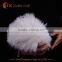 China Factory Exporting Wholesale Ostrich Plumes Feathers for Wedding Decorations