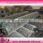 hexagonal chiken netting(factory)