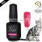 V.Chlo cat eyes gel nail art design soak off gel polish with private label
