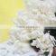 Various promotional price chrysanthemum cut