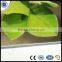 Good Quality Colorful ACP/ACM Mirror/ Brushed 3mm/4mm Aluminium Composite Cladding/Sheet Alucobo