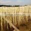 Brown color Sisal Fiber with high quality