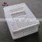 Big Door And Easy To Pick Chicken Plastic Oversize Moving Cage For Chicken And Birds