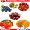 Fruit single channel pulping machine with SUS quality