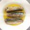 Canned Sardine in vegetable oil Sardinas en aceite vegeta Sadinhas Oleo Vegetal (125G/155G/425G)