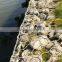 Corrosion resistant gabion boxes