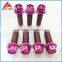 Gr5 titanium screw DIN912/DIN6921 for bicycle and motorcycle