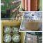 SWG22 singal transmission TCCAM wire