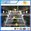 Hot selling 4 tier chicken layer battery cage for Tanzania poultry farm