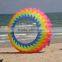 ring kite kite manufacturer in Weifang China