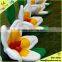 10m Decorative Inflatable Flower String for Wedding and Stage