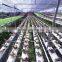 Hydroponic NFT Growing System Greenhouse