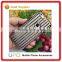 [UPO] Anti-Scratch Newest Transparent TPU Back Cover With Soft Electroplate Mirror Phone Case TPU Mobile Case for iphone 6