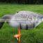 XPE foam speckbelly goose decoy