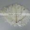 White and Black Ostrich Feather Fancy Dress Party Dressed up Headwear