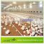 LEON small poultry chicken poultry farm equipment with best quality