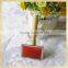 easy clean hair brush small cat brsuh with wooden handle