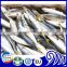 frozen mackerel for bait