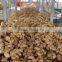 FRESH GINGER 200G UP FOR ALL MARKET