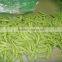 2015 new crop china fresh snow pea and sugar snap pea