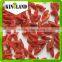 Importers organic goji berries seed