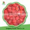 Iqf Frozen Fruit Organic Strawberry
