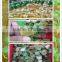 Tower Garden / Planting Seeds / Aquarium Plants Rockwool for Tomatoes / Lettuce / Fireplace