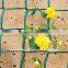 HDPE Garden Mesh Garden Nettin