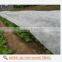 Agriculture nonwoven cover Fabric for ground cover
