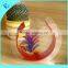 Fashion design acrylic fish shaped fish tank
