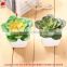 Artificial succulent plants mini artificial plants Potted Artificial Mini Succulent Plants