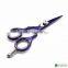 Barbers Hairdressing Scissors Shears Hair Cutting Scissors Salon Razor Blade 6"