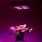Cidly 140W indoor grow tent Greenhouse LED grow light Fixture full spectrum