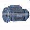 Engine Electric Motor for Electric Car