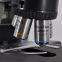 Research-level upright fluorescence microscope MF43-N