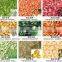 10 Trays Food Dehydrator For Home Use