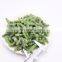 Sinocharm BRC A Certified Non Worm Organic Crisp IQF Green Beans Frozen Cut Green Beans