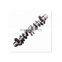 3965012 China sale manufactures factory 6 cylinder diesel brand engine assembly crankshaft