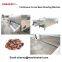 Stainless Steel Cocoa Bean Roasting Machine Price|Cocoa Nib Roasting Process