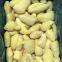 frozen ginger diced