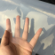 6 Mil Transparent UV Protection Greenhouse Film Vegetable Flower Protection Rain Proof Cover Poly Sheeting